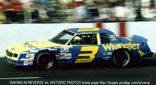 #3 wrangler